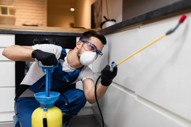 Best Pest Control Near Me  in Kerens, TX