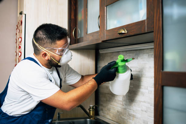 Best Termite Control Services  in Kerens, TX