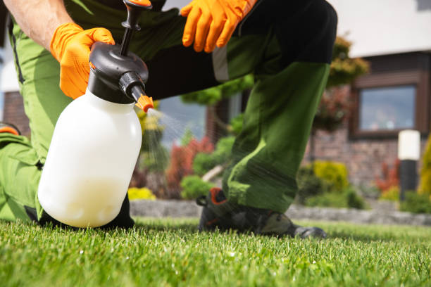 Best Affordable Pest Control Services  in Kerens, TX
