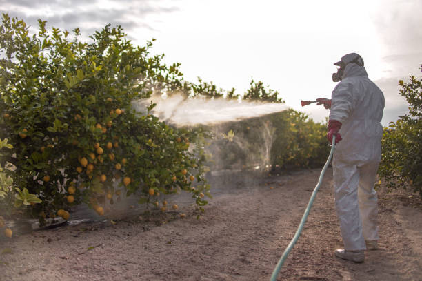 Kerens, TX Pest Control Company