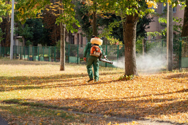 Best Pest Control Near Me  in Kerens, TX