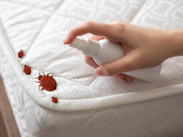 Best Residential Pest Control  in Kerens, TX