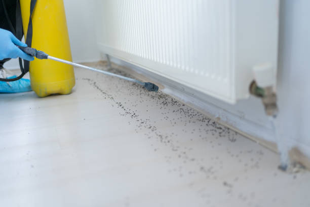  Kerens, TX Pest Control Pros