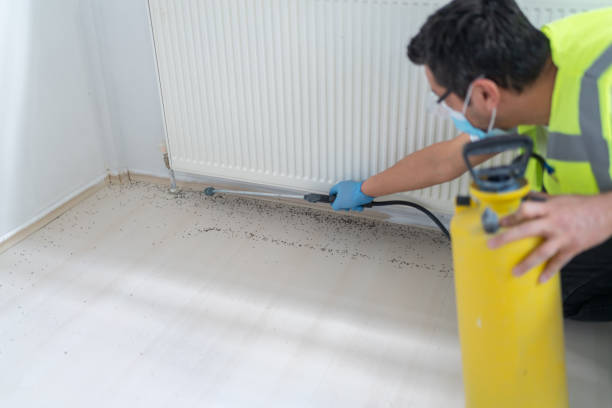 Best Wasp Removal Services  in Kerens, TX