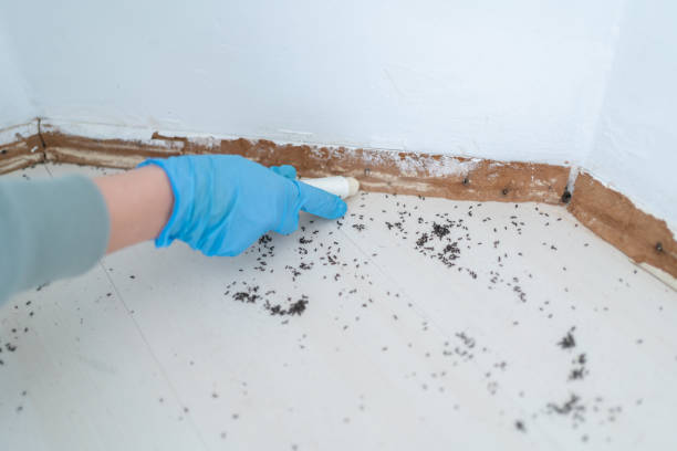  Kerens, TX Pest Control Pros