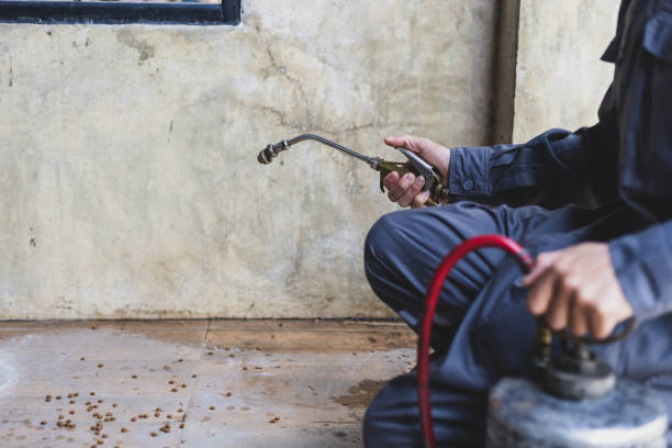 Best Ant Control Services  in Kerens, TX